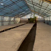 فروش گلخانه آلومنیومی|ماشینآلات صنعتی|ملارد, |دیوار