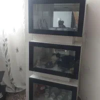 بوفه بزرگ وسالم