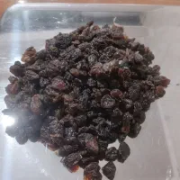 بی دونه آفتابی بدونه هسته|خوردنی و آشامیدنی|ماهدشت, |دیوار