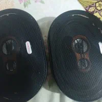 باند خربزه ای