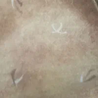 گلیم فرش ۹ متری