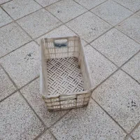 سبد گوجه