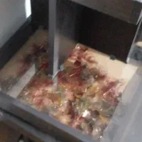 صندلی غذای کودک|تخت و صندلی بچه|قوچان, |دیوار