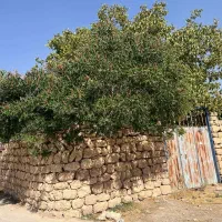 خدمات ویلا