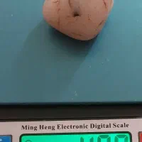 شجر رگ دار آبدار گبری با قدمت ۷۰۰۰ سال