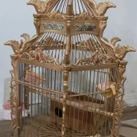 قفس شیک و زیبا
