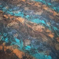 لباس کوردی|لباس|جوانرود, |دیوار