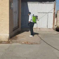 سمپاشی و نابودی حشرات موذی