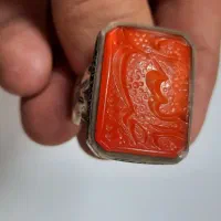 اوپال بسیار زیبا اتیوپی نباتی