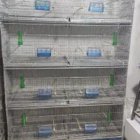 قفس اردشیر کارا