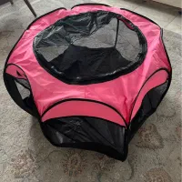 جای خواب سگ و گربه