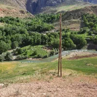 فروش باغ
