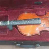 ویلن رناتو سایز ۱/۲