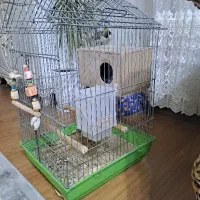 قفس پرنده