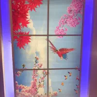 آسمان مجازی|ریسه و چراغ تزئینی|لاهیجان, لیل|دیوار