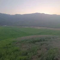 کارگر کشاورزی هستم