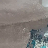 پلاکی|پرنده|دهدشت, |دیوار