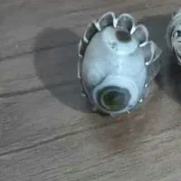 انگشتر یک چشم و ریشه دار آگهی بخون