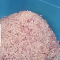 اسلایسر|کافی‌شاپ و رستوران|میبد, |دیوار