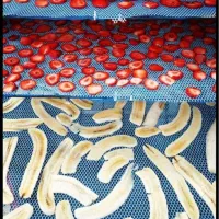 اینبار دستگاه خشککن میوه مدل FD1800 در سریال بادار