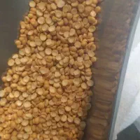 انواع حبوبات ایرانی وخارجی وبرنج کامفیروزی