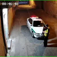 سگ اشپیتز گمشده. خیابان امام|حیوانات|رفسنجان, |دیوار