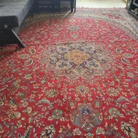 فرش ۱۲ متری|فرش|رشت, دیانتی|دیوار