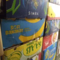 کارتون موزی ۵۰ عدد