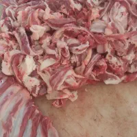 لادنده گوسفند و گوساله