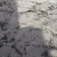 گلیم فرش جدید|گلیم، جاجیم، گبه|زاهدان, |دیوار