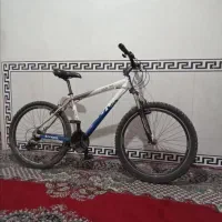 دوچرخه ویوا تایوانی اصل گوشی