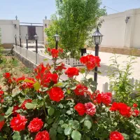 اجاره-خونه-باغ-طاهر-اباد