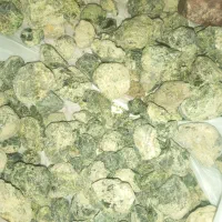 گارنت|جواهرات|شاهین‌شهر, فیض|دیوار