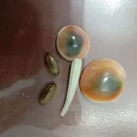 مهره آتشین ب شرط