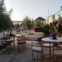 یک نیرو کار در کافه