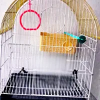 قفس پرنده زیر قیمت