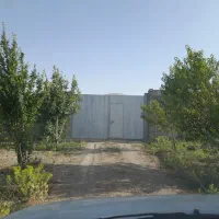 گلخانه ۲۰۰۰ متری جاده سراب نیلوفر|فروش دفتر صنعتی، کشاورزی، تجاری|کرمانشاه, |دیوار