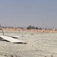 ساده زرد|پرنده|زابل, |دیوار