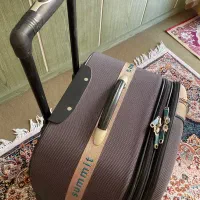 چمدان نو|کیف، کفش، کمربند|ملارد, |دیوار