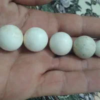 سنگ آسیاب الماس اصل|جواهرات|رباط‌کریم, الارد|دیوار