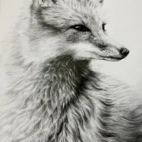 آموزش طراحی ونقاشی به صورت خصوصی|خدمات آموزشی|شیراز, میانرود|دیوار