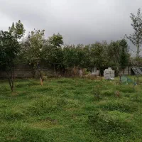 فروش زمین قطعه‌ های ۲۵۰ و۳۵۰ متری درطراف شالماشفت|فروش زمین و ملک کلنگی|احمدسرگوراب, |دیوار
