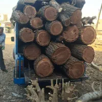 خریدار چوب های هیزمی و صنعتی