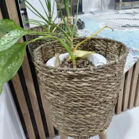 ظروف|سفره، حوله، دستمال آشپزخانه|زابل, |دیوار