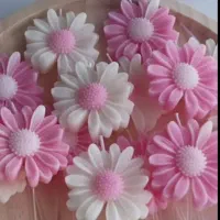 شمع بابونه