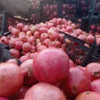 انار و آب انار سیوو|حراج|آبدانان, |دیوار