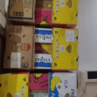 کارتن موزی|عمده‌فروشی|تهران, تهرانسر شمالی|دیوار