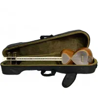 تار مدل عطا نو|سازهای سنتی|سمنان, |دیوار