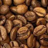 نیازمند نیرو خانم در کافه گویم