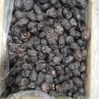 خرما درجه یک مضافتی به قیمت عالی|خوردنی و آشامیدنی|بمپور, |دیوار